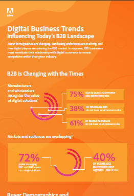b2b_infographic_thumb_large